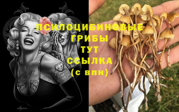 spice Майский